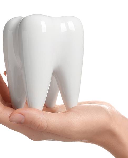 a hand holding a ceramic model of a tooth 